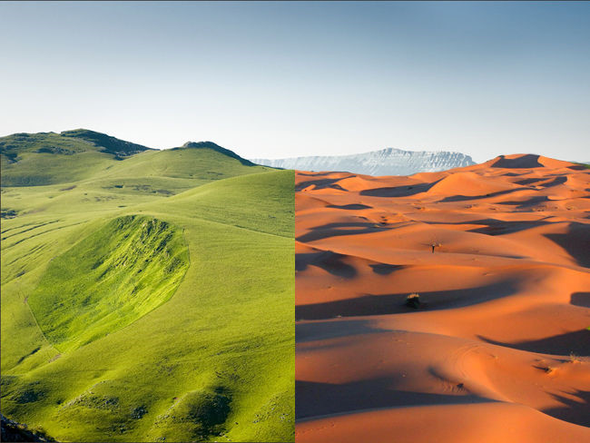 Những[-]sự[-]thật[-]bất[-]ngờ[-]về[-]sa[-]mạc[-]Sahara[-]